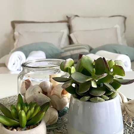 Fuer 4 Personen Ca 43 Qm In Zidarici, Kvarner Bucht Krk Apartment Vantacici